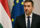 Hungaria Diprediksi Penuhi Kriteria Euro Pada 2030, Kata Partai Tisza