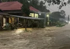 Banjir di Ampana Kota: Hujan Deras Sebabkan Genangan di Dua Desa dan Jalan Utama