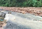 Komite Rakyat Provinsi Tuyen Quang Minta Tanggap Cepat Hadapi Hujan Lebat dan Banjir