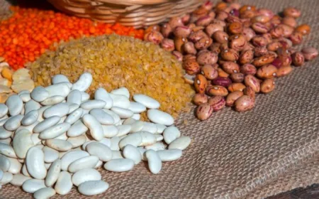 Kualitas Makanan Lebih Penting daripada Diet Rendah Lemak atau Karbohidrat