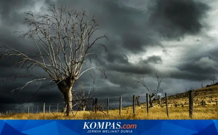 BMKG Peringatkan Potensi Cuaca Ekstrem di Kalteng, Waspada Banjir dan Longsor
