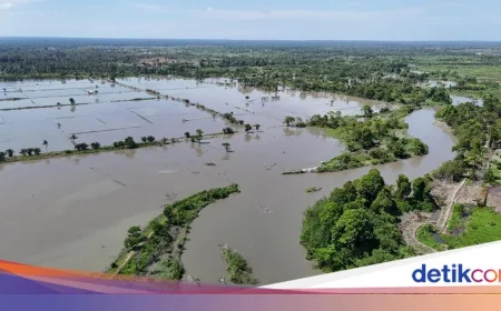 Banjir Rendam 7 Kecamatan di Lutra: 12 Ribu Warga Terdampak-Ratusan Mengungsi