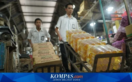 Pemerintah Putuskan Naikkan Harga MinyaKita, Ini Alasannya