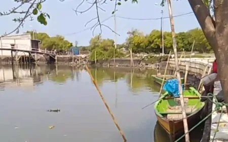 Banjir Rob di Sedati Sidoarjo Akibat Mangrove Rusak, Dinas Perikanan Dorong Rehabilitasi