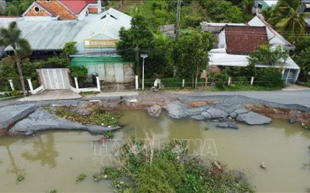 Dong Thap menerapkan solusi lunak dan "ramah lingkungan" untuk menanggapi tanah longsor.