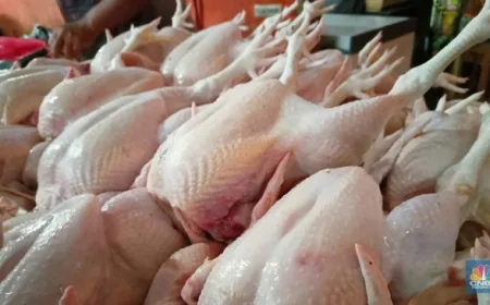 Prabowo Soroti Porsi Ayam MBG, Ini Bedanya Potongan 8, 12 & 14 Bagian