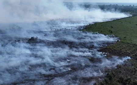 BNPB: Karhutla hingga Banjir Landa Sejumlah Wilayah Indonesia