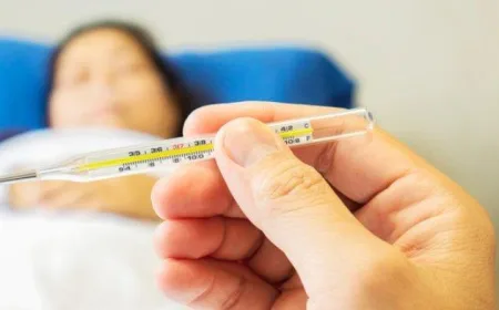 Kenali Gejala-gejala Jika Kita Terkena Penyakit Hantavirus