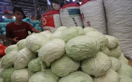 Kol Punya Manfaat Jitu, Tapi 6 Kelompok Orang Ini Harus Waspada