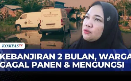 Banjir 2 Bulan di Luwu Utara Rendam 300 Rumah & 50 Hektare Lahan Pertanian