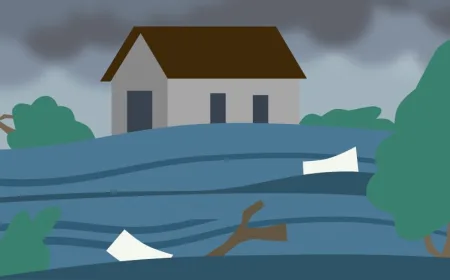 Banjir Rendam Lahan Pertanian di Parigi Moutong