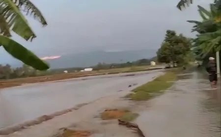 Banjir rendam lahan pertanian pada dua desa di Kabupaten Parigi Moutong