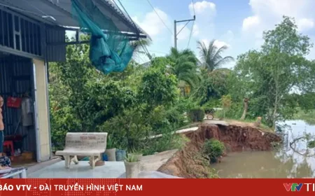 Tanah Longsor di Sungai Tra Lot Dong Thap Ambrukkan Jalan 20 Meter, Lalu Lintas Terputus