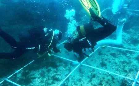 Ahli Temukan 150 Bangkai Kapal di Kuburan Massal Bawah Laut Teluk Gibraltar