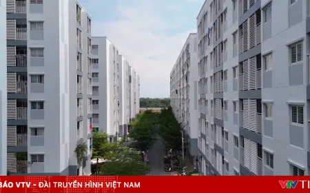 Pengembangan Perumahan Sewa: Solusi Tekanan Pasar Properti di Indonesia