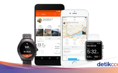 DJP Tunjuk 7 Pemungut Pajak Digital Baru Termasuk Strava untuk Perluas PPN PMSE