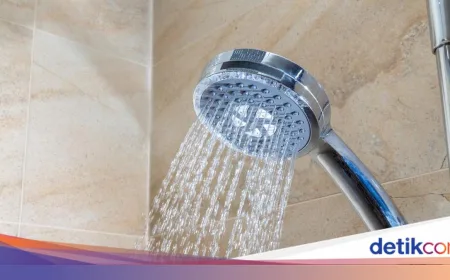 Negara dengan Warga Paling Rajin Mandi 2026: Brasil Puncaki Daftar