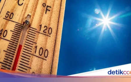 Gelombang Panas Prancis Sebabkan 1.000 Kematian, 85% Lansia Terdampak
