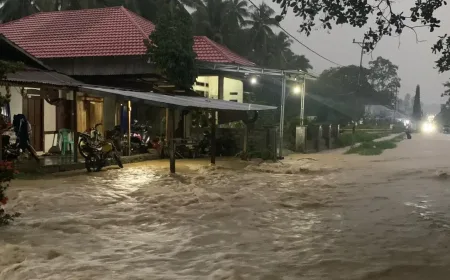 Banjir di Ampana Kota: Hujan Deras Sebabkan Genangan di Dua Desa dan Jalan Utama