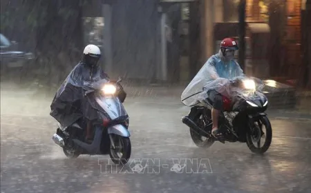 Hujan Lebat di Vietnam Utara: Risiko Tinggi Banjir Bandang dan Tanah Longsor