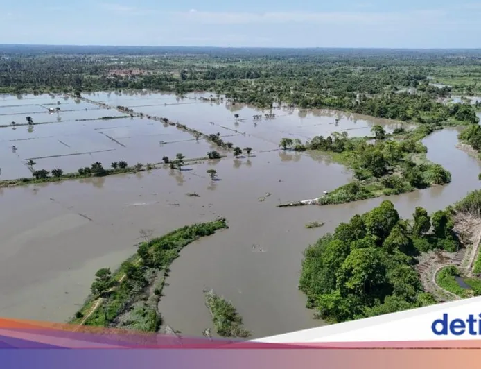 Banjir Rendam 7 Kecamatan di Lutra: 12 Ribu Warga Terdampak-Ratusan Mengungsi