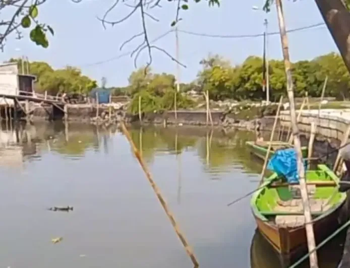 Banjir Rob di Sedati Sidoarjo Akibat Mangrove Rusak, Dinas Perikanan Dorong Rehabilitasi