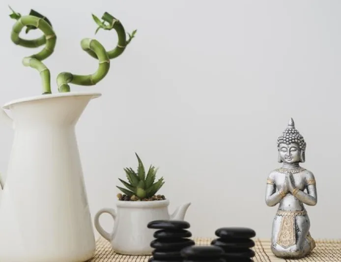 Sampai Kapan Ekonomi RI Gonjang-Ganjing? Ini Ramalan Feng Shui