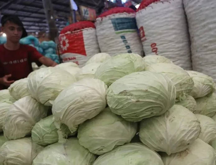 Kol Punya Manfaat Jitu, Tapi 6 Kelompok Orang Ini Harus Waspada