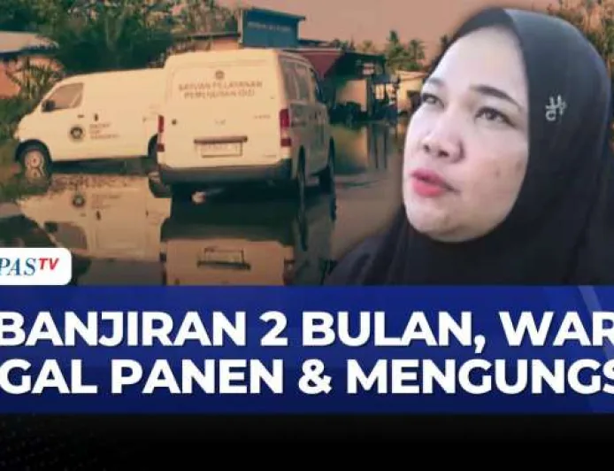 Banjir 2 Bulan di Luwu Utara Rendam 300 Rumah & 50 Hektare Lahan Pertanian