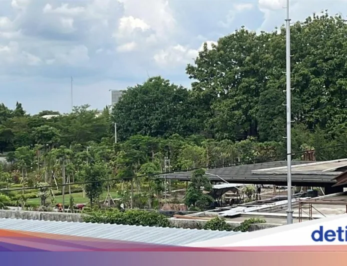 Daerah Rumah Pensiun Jokowi Kini Jadi Primadona, Harga Hunian Melejit!