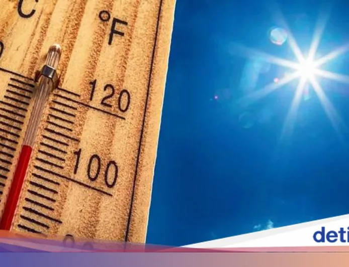 Gelombang Panas Prancis Sebabkan 1.000 Kematian, 85% Lansia Terdampak