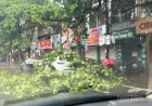 Respons Proaktif terhadap Hujan Lebat dan Bencana Alam di Provinsi Tuyên Quang