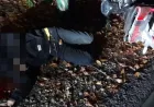 Kecelakaan Tunggal di Karangmojo: Warga Ponjong Tewas Tabrak Pohon