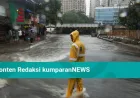 Hujan Monsun Guyur Mumbai: Jalanan Banjir dan Pohon Tumbang Jadi Tantangan Besar
