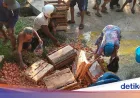 Truk Angkut 1,3 Ton Telur Terguling di Purbalingga, Warga Malah Menjarah