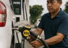 Harga BBM B50 per Liter 2026: Ini Update Terbaru dari Pemerintah