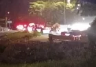 Gundukan Tanah di Jalan Gajah Mada Batam Picu Kemacetan, Bukan Longsor