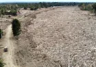 Tekanan Zona Lindung Memperparah Bencana Sumatera, Ini Hasil Kajian Terbaru