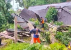 Tarakan Dilanda Longsor dan Pohon Tumbang, BPBD Imbau Warga Tetap Waspada