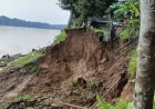 BPBD Batang Hari Catat 4 Titik Longsor di Bantaran Sungai Batanghari