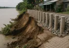 An Giang Proaktif Tangani Tanah Longsor dengan Solusi Pencegahan Efektif