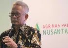 Agrinas Palma Nusantara Catat Surplus Operasional Rp2,86 Triliun Kelola 4,11 Juta Ha Aset Perkebunan Negara