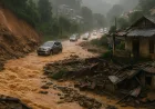 Hujan Lebat di Vietnam Utara: Dampak Tanah Longsor, Banjir, dan Kerusakan Properti