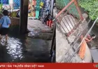 Gang di Jalan Ho Hoc Lam Banjir Parah Karena Tidak Ada Sistem Drainase