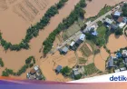 Invasi 900 Ular Berbisa Saat Banjir di China, 1 Wanita Tewas Digigit Kobra