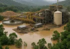 Banjir Katalis Saham MDKA: Dividen, Proyek Strategis, dan Simpanan Emas Meningkat