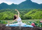 Festival Wellness BRI 2026: Event Premium Terbesar untuk Gaya Hidup Sehat di Jakarta