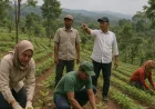 Restorasi Perhutanan Sosial di Lampung: Pulihkan Ekologi dan Tingkatkan Kesejahteraan Masyarakat