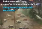 Topan Bavi Hantam Cina: Banjir Bandang Hanyutkan Kendaraan di Hebei
