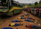 Kecelakaan Bus Study Tour di Uganda Timur, 20 Anak Sekolah Tewas Tragis